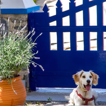 Syros Atlantis Отель