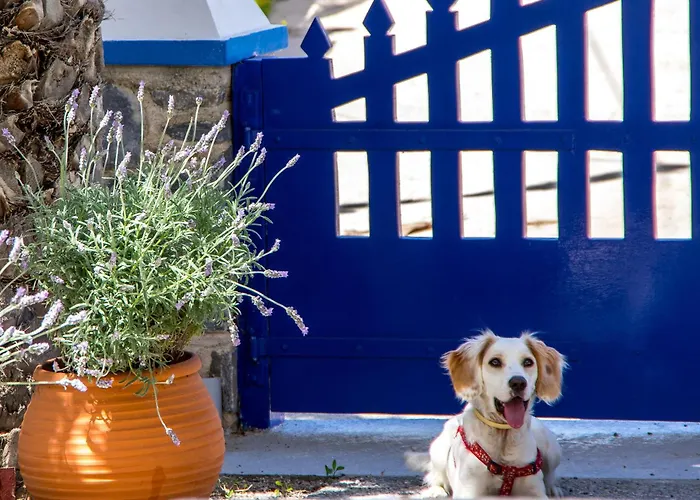 Syros Atlantis Ξενοδοχείο